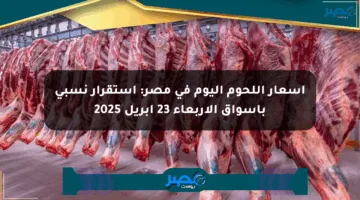 أسعار اللحوم اليوم في مصر: استقرار نسبي بأسواق الأربعاء 23 أبريل 2025